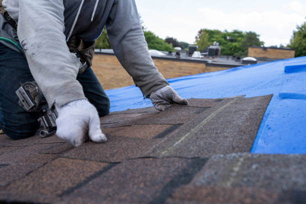 Best Roof Gutter Cleaning  in Ocean Ridge, FL
