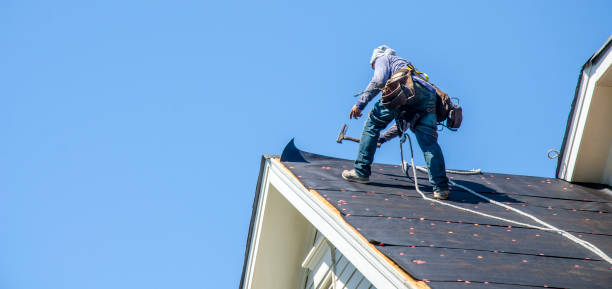 Best Gutter Installation and Roofing  in Ocean Ridge, FL